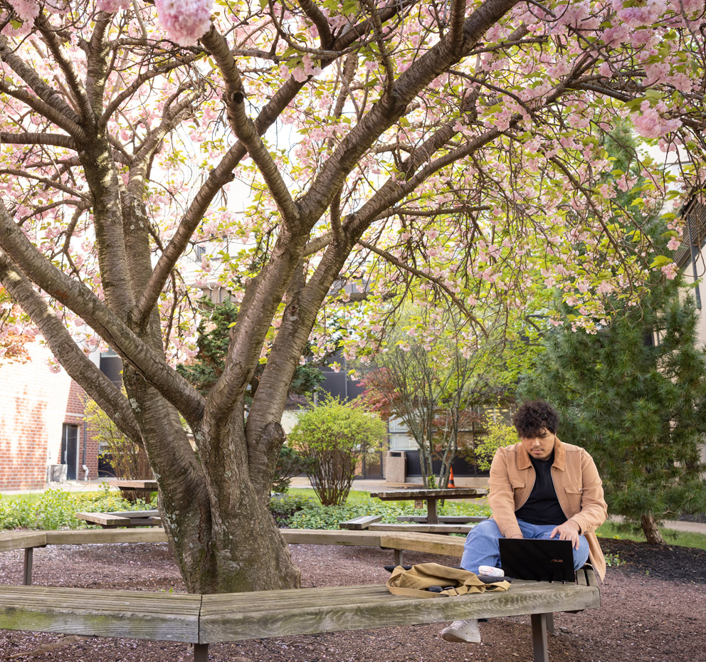 student studying under a tree